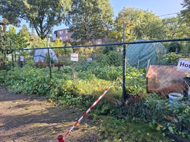 Foto 5 van 9 bij het verslag van Opschonen Volkstuincomplexen