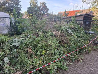 Er is veel groenafval verzameld